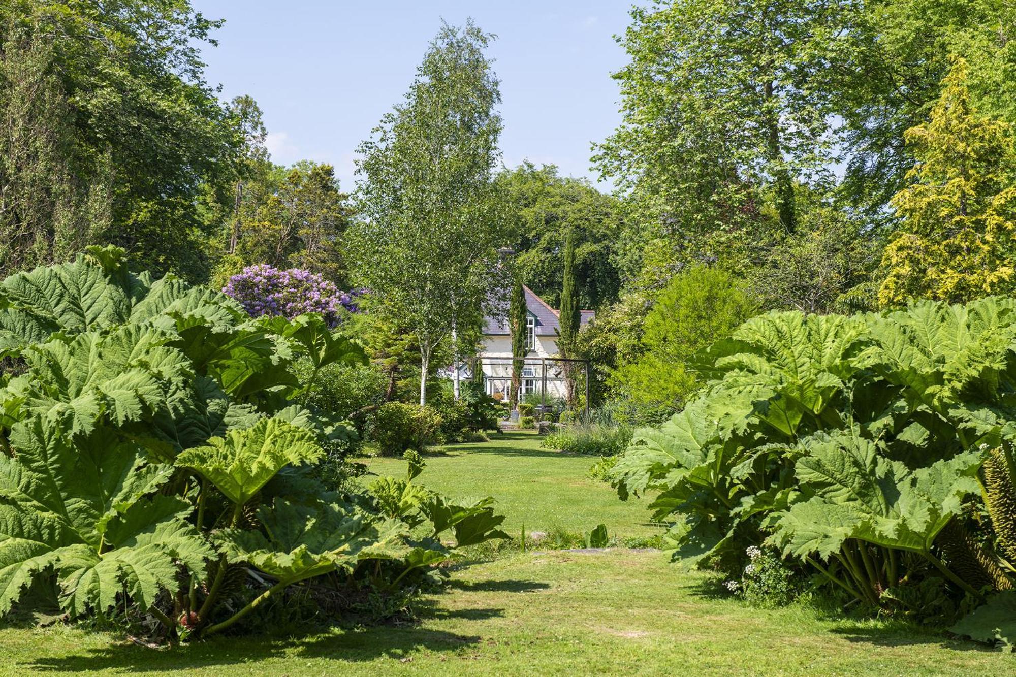 The Cors Country House Villa Laugharne Exterior photo